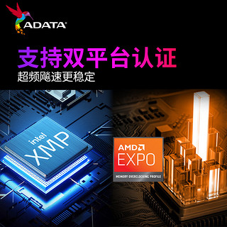 ADATA 威刚 XPG系列 威龙D300 DDR5 6000MHz 台式机内存 马甲条 白色 64GB 32GBx2 C30