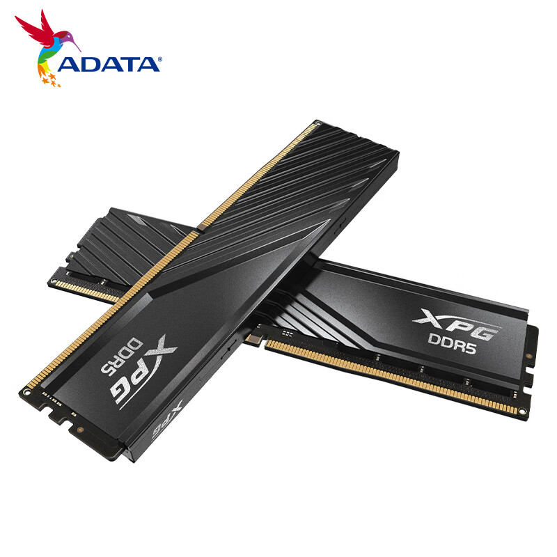 ADATA 威刚 XPG系列 威龙D300 DDR5 6400MHz 台式机内存 马甲条 黑色 C32
