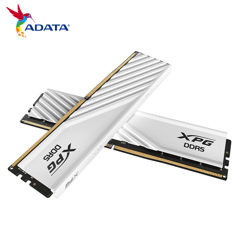 ADATA 威刚 XPG系列 威龙D300 DDR5 6400MHz 台式机内存 马甲条 白色 C32
