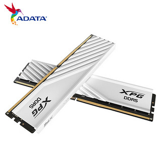 ADATA 威刚 XPG系列 威龙D300 DDR5 6400MHz 台式机内存 马甲条 白色 32GB 16GBx2 C32