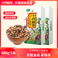 十月稻田 三色糙米粗粮糙米黑米红米主食饭五谷杂粮粗粮搭配480g*2