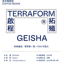 TERRAFORM COFFEE ROASTERS 啟程拓殖 青苹果/梨/70%巧克力 墨西哥COE#4手冲咖啡豆100g