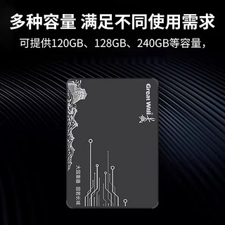 SSD固态硬盘120GB/128g笔记本台式电脑SATA接口2.5高速240g 长城GW500 120G