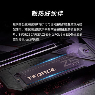 Team 十铨 科技Z540 M.2接口PCIe 5.0 NVMe2.0 2TB SSD固态硬盘