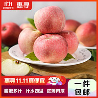 惠寻 京东自有品牌 陕西红富士苹果新鲜水果净重4.5斤果径70mm以上