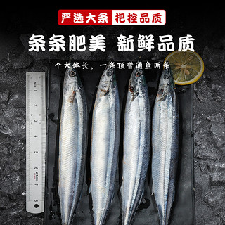 秋刀鱼冷冻新鲜商用日式料理特大号烧烤海鲜水产鲜活深海鱼4斤装