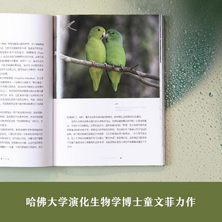 “天际线”丛书：怎样理解一只鸟