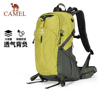 CAMEL 骆驼 登山包户外专业背包男女运动双肩包大容量旅行包A1W3QJ111高级灰