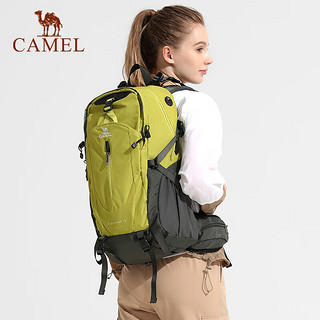 CAMEL 骆驼 登山包户外专业背包男女运动双肩包大容量旅行包A1W3QJ111高级灰
