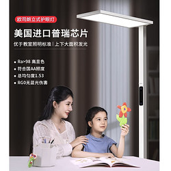 OSRAM 欧司朗 C系列 100W全光谱大路灯 OS-M0034-100-TC-069