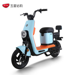 ZUB 五星钻豹 B5增程版 新国标电动自行车