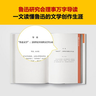 鲁迅杂文集 鲁迅的话就算放到今天，照样针针见血！根据许广平回忆鲁迅文章选！汪卫东教授导读 原创版画 鲁迅作品集 读客