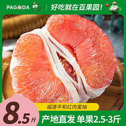 PAGO JOY 百果心享 三红红心柚子蜜柚新鲜水果福建平和礼盒海南应季