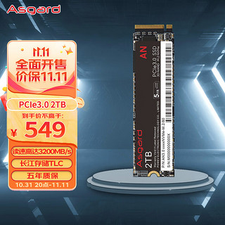 Asgard 阿斯加特 AN3.0 M.2固态硬盘 2TB PCle-3.0