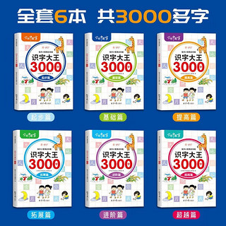 【全6册】识字大王3000字 幼儿园识字书幼儿认字有声伴读早教启蒙书籍学前班看图入门识字