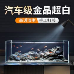 Bessn 贝森金晶五线汽车级超白缸玻璃鱼缸客厅裸缸家用水草溪流缸 40*23*25cm 6mm厚金晶五线超白送货上楼
