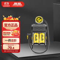 凤凰(Phoenix)自行车打气筒脚踩高压电动车电瓶汽车便携家用充气泵美法嘴山地篮足气球 双管
