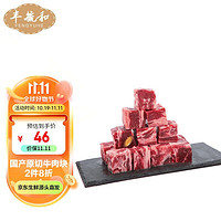 FENGYUHE 丰毓和 国产原切牛腱子1kg 牛仔骨生鲜牛肉块卷冷冻脊骨涮火锅烧烤食材 国产原切牛肉块500g