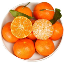 【省65元】隆鲜道橘/桔_隆鲜道 正宗广西南宁砂糖橘 净重9斤装多少钱