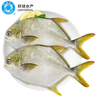 UNIVERSAL 环球水产 冷冻金鲳鱼 1kg/2条装 生鲜 鱼类 深海鱼 海鲜水产