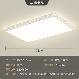 长虹照明LED客厅灯简约现代吸顶灯创意个性餐厅卧室全屋灯具组合套餐 白色75*50*5CM60W三色