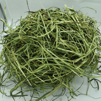 2023优质提摩西干草 晾晒北提 兔子龙猫主饲料500g 荷兰猪2斤