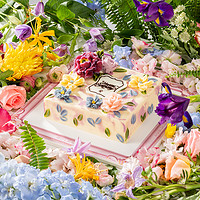LE CAKE 诺心 天蝎座2023新款星座动物奶油巧克力同城配送生日蛋糕