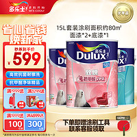 Dulux 多乐士 致悦竹炭抗甲醛净味5合1 油漆涂料 内墙乳胶漆 墙面漆A8146+A749套装15L