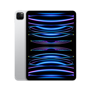 Apple 苹果 iPad Pro 11英寸 2022年款(128G 5G版/M2芯片/MNYP3CH/A)银色