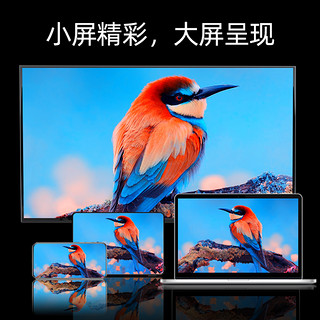 Letv 乐视 98英寸智能液晶电视机4K高清智能投屏KTV办公100