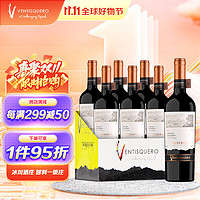 VENTISQUERO 冰川酒庄 珍藏赤霞珠干红葡萄酒安第斯山脉之魂 750ml*6 智利红酒整箱装