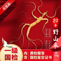 CBM GINSENG 长白山人参 野山参约20-60年整枝深山密林下生长 健康泡酒高档礼盒 20年野山参15克礼盒装