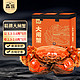 XIAN YAO 鱻谣 大闸蟹鲜活螃蟹 公3.3-3.6两 母2.3-2.6两 5对10只 去绳足重 生鲜蟹类礼盒