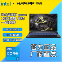 Hasee/神舟 独显 游戏本