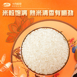 SHI YUE DAO TIAN 十月稻田 东北长粒香大米 5kgx2袋