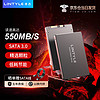 LINTYLE 凌态 X12 SATA3.0 固态硬盘 256GB