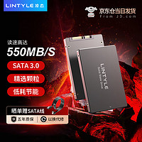 LINTYLE 凌态 X12 SATA3.0 固态硬盘 256GB