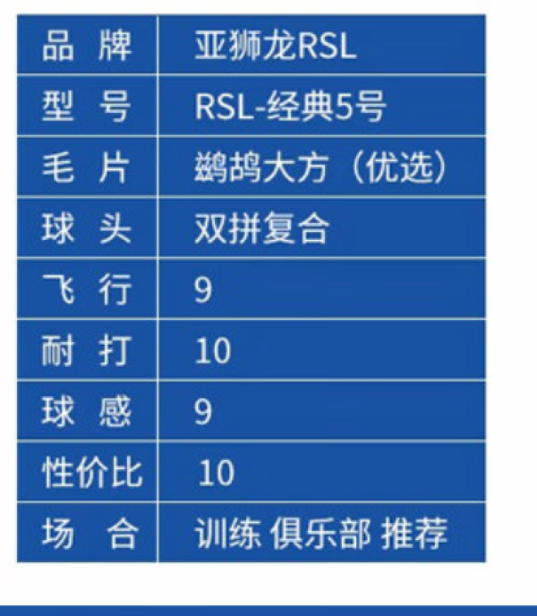 亚狮龙羽毛球具_rsl 亚狮龙 耐打稳定训练比赛专业用球12只装 rsl05
