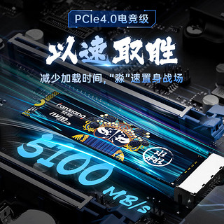 梵想（FANXIANG）1TB SSD固态硬盘 M.2接口NVMe协议PCIe 4.0 x4 台式机笔记本电脑适用S690M