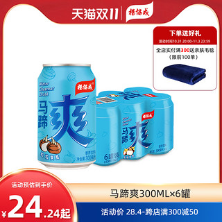 杨协成 马蹄爽汁果汁果肉果粒水果饮料荸荠饮料果汁饮料300ml*6罐