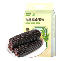 园侬鲜 2023头茬鲜嫩鲜食甜糯黑玉米12穗真空东北新鲜糯玉米粗粮非即食