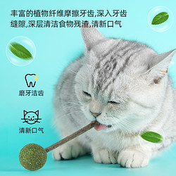 猫主子 猫薄荷球棒棒糖磨牙玩具木天蓼逗猫棒自嗨解闷神器猫咪零食用品