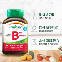 Jamieson 健美生 【自营】jamieson健美生复合维生素B族60粒均衡营养熬夜补充进口
