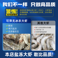 觅小鲜 大虾鲜活特大南美海虾基围虾冷冻海鲜水产生鲜盐冻鲜虾非青岛大虾