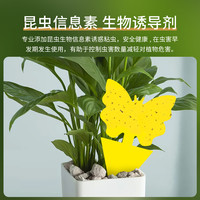 粘虫板黄蓝板双色小黄板无忧农夫园艺防虫片双面小黑飞果蝇诱捕器