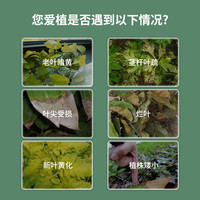德沃多 DEWODUOFEILIAO观叶植物免稀释营养液蔬菜花卉黄叶片一喷变绿促生长叶绿素叶面肥