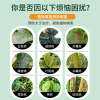 德沃多 DEWODUOFEILIAO多菌灵杀菌剂多菌菌灵植物白粉病花卉多肉兰花月季农药百菌清