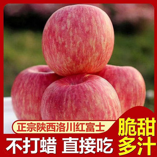 蜜企味 正宗陕西洛川红富士苹果 9斤装 特大果 14-18个