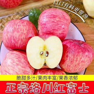 蜜企味 正宗陕西洛川红富士苹果 9斤装 特大果 14-18个