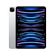 Apple 苹果 iPad Pro 11英寸平板电脑 2022款 第4代(256G WLAN版/M2芯片Liquid视网膜屏/MNXG3CH/A) 银色